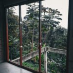 Glass house-22